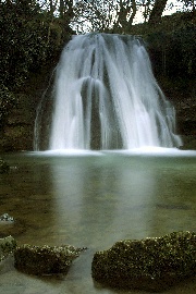 Janets Foss photo