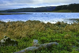 Malham tarn