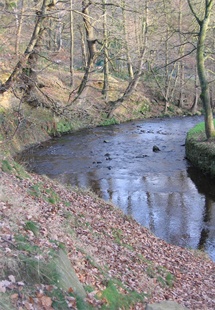 River Rivelin