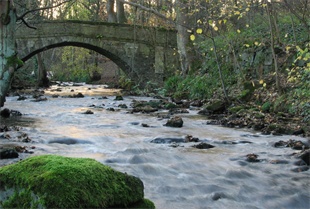 Rivelin Bridge