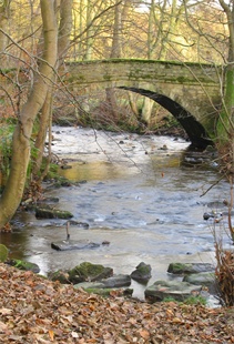 Rivelin Bridge