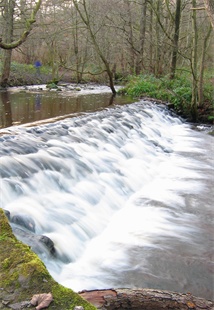 Rivelin Weir