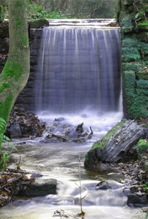 Cascading Water