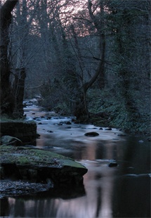 Rivelin River At Night