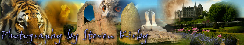 Steven Kirby Photographic