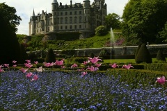 dunrobin_castle_gardens_V